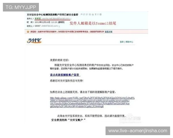 如何安全访问金沙平台网址，避免钓鱼网站的详细操作技巧