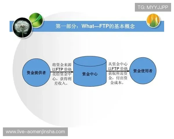 金沙娱乐app下载安全保障措施，确保玩家资金和信息安全无忧