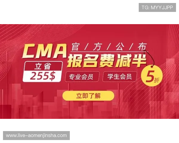 金沙官网3833官方平台最新公告，丰富游戏内容与优惠活动一站式查询