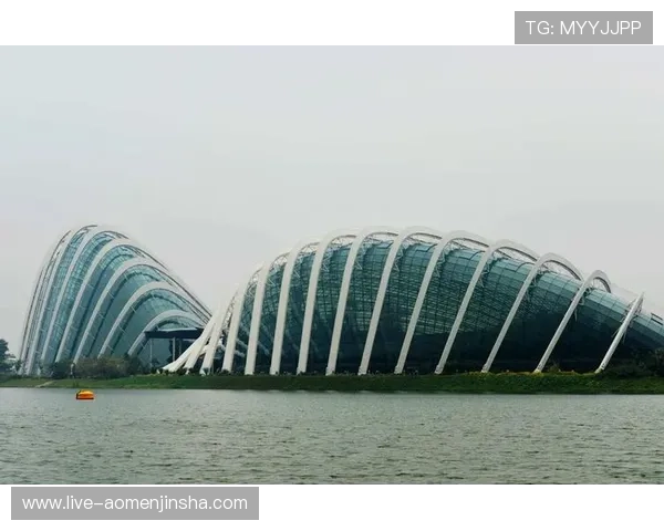 新加坡滨海湾金沙赌场的会员制度与积分奖励机制详解 新加坡滨海湾金沙赌场的会员制度与积分奖励机制详解