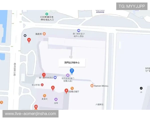金沙中国澳门购物指南，精选免税店与特色商铺推荐，满足您的购物欲望与奢华体验